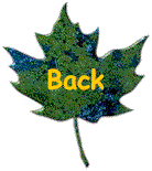 back.gif (5782 bytes)